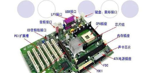 計算機(jī)硬件的組成、功能與發(fā)展